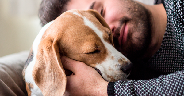 ¿No te gustan las mascotas? Considéralo, podrían ayudar a tu salud mental