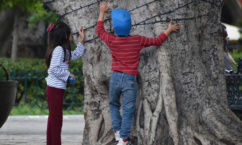 Vacuna para niños reduciría impacto del Covid