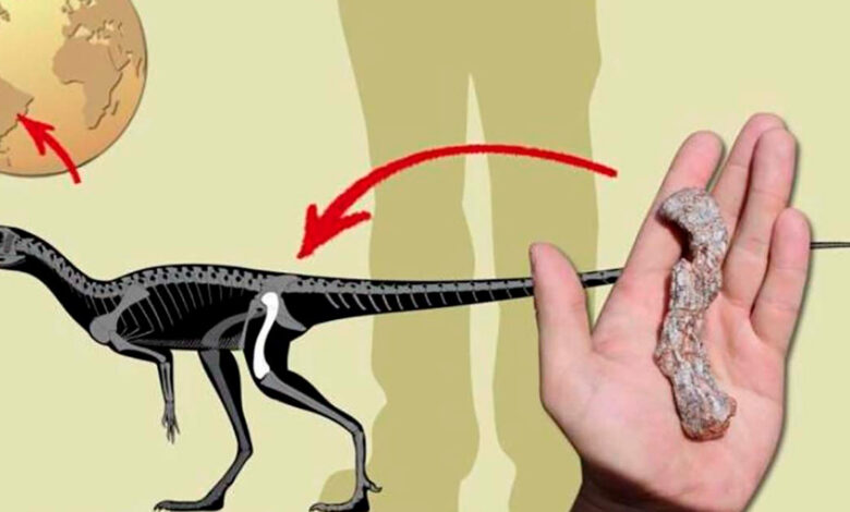 Hallan al dinosaurio más antiguo de Sudamérica