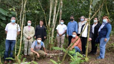 UV, comprometida con la conservación de la vainilla mexicana