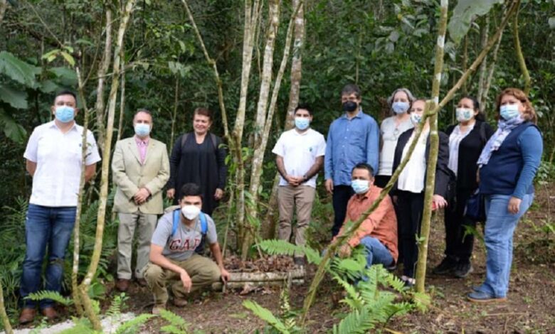 UV, comprometida con la conservación de la vainilla mexicana