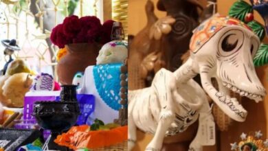 Ofrenda para mascotas, la nueva tradición de día de muertos