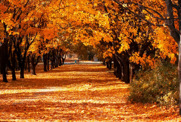 ¡No lo olvides! Hoy inicia el otoño a las 14:21 horas