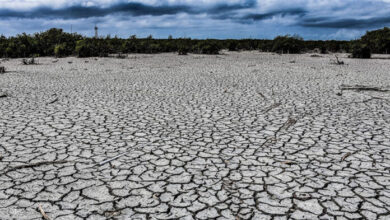 Decreta Gobierno Emergencia por sequía extrema en el país