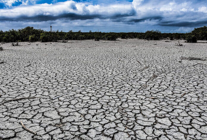 Decreta Gobierno Emergencia por sequía extrema en el país