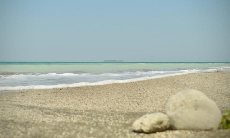 Solo una playa mexicana no es apta para uso recreativo por exceso de heces fecales