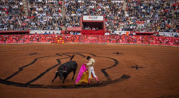 Suspenden indefinidamente las corridas de toros en la Plaza México