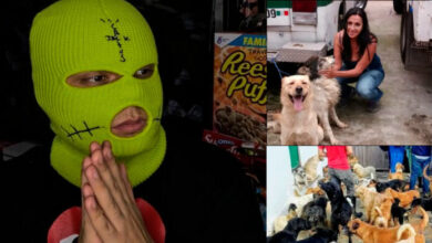 Apuesta al ‘Canelo’, gana y lo dona todo a perritos