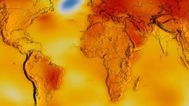 Noviembre de 2020, el más caluroso a nivel mundial