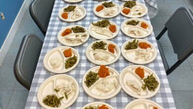 Perritos disfrutan la cena de Thanksgiving