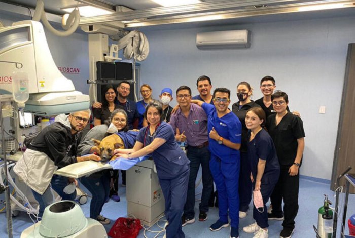 Ali, primer perro en recibir válvula pulmonar en México y América Latina