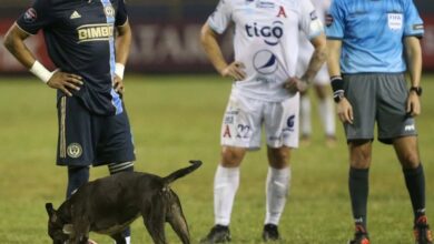 Perrito se roba pelota en pleno partido de Concachampions