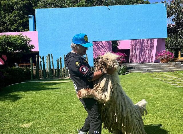 Criticaron a Alejandro Fernández por no cuidar el aspecto de su perro