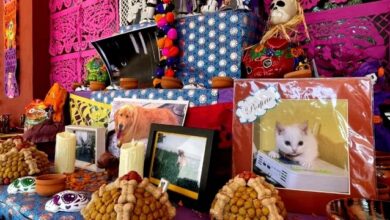 ¿Cúando se pone la ofrenda para mascotas?