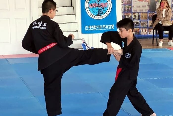 Hapkido: Veracruzanos, certificados de forma internacional