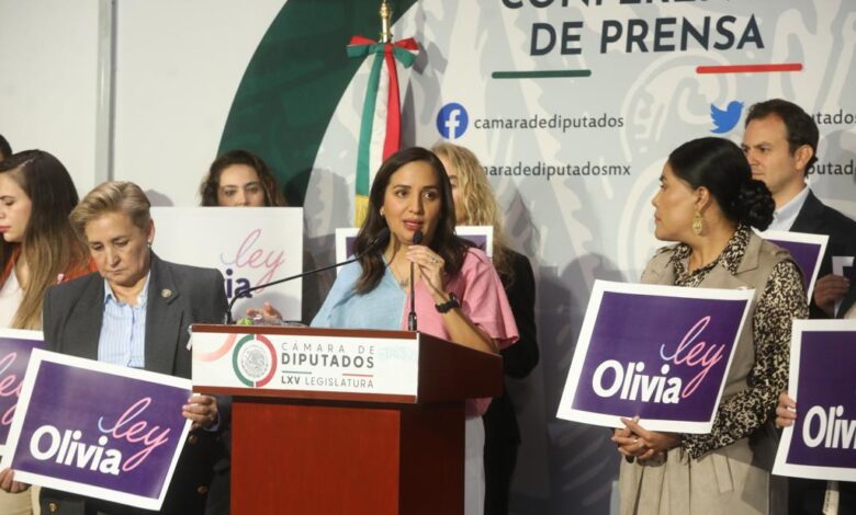 Ley Olivia busca garantizar la atención de las muertes gestacionales y perinatales