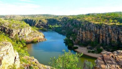 Científicos alertan que ozono ya amenaza la biodiversidad de todo el mundo