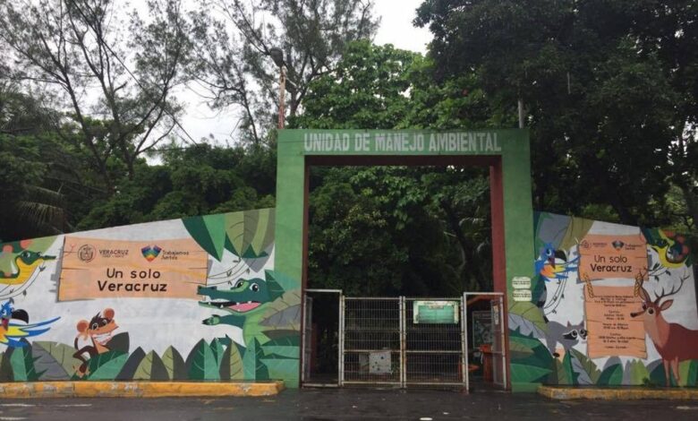 Lamentan jarochos abandono del zoológico de Veracruz