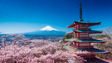 Japón te dice cómo derrotar al Covid-19 sin cuarentena