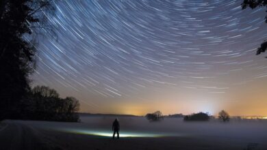 Lluvia de estrellas, ¿cuándo y cómo ver las Delta Acuáridas?