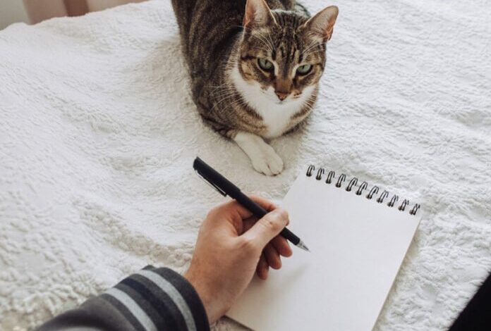 ¡Increíble! Así descubrieron que su gato tenía doble vida