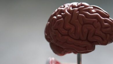 Científicos relacionan tipo raro de inflamación cerebral con COVID-19