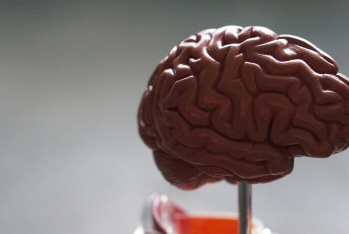 Científicos relacionan tipo raro de inflamación cerebral con COVID-19