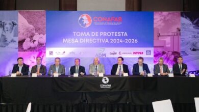 México con potencial para mejorar su posición mundial en la producción de alimentos balanceados