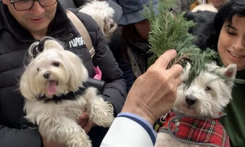 Personas llevan a sus mascotas a bendecir por el día de San Antonio Abad