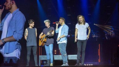 Harry, Niall, Zayn y Louis envían mensaje ante la muerte de Liam Payne